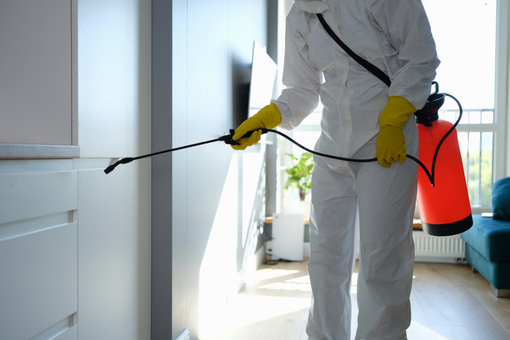 Domestic Pest Control services