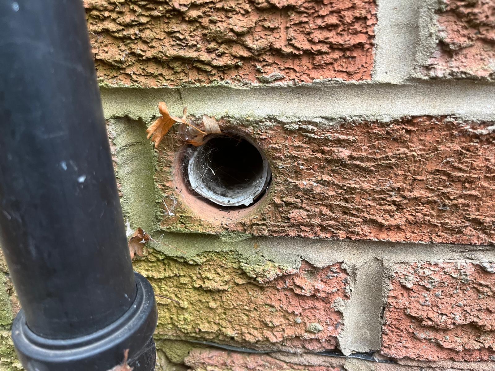April Pest Problems in Coventry: Expert Advice from a Local Family-Run Pest Control Company