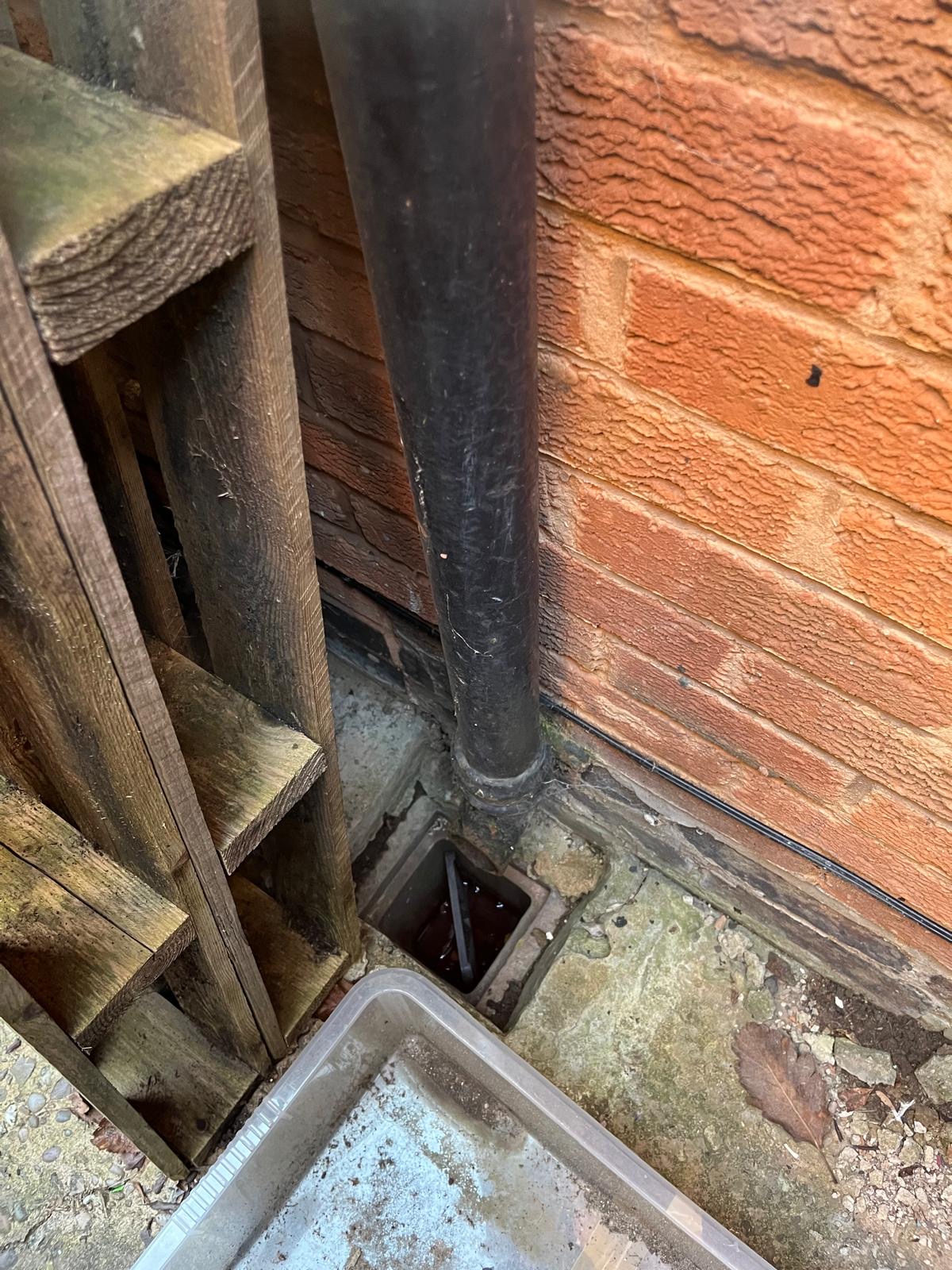Pest Control in Coventry This May: What to Expect and How to Stay Protected