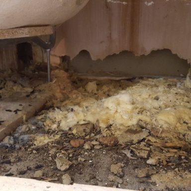 Rodent damage Rodent has chewed away wall behind bath